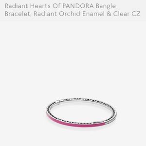 NWOT Pandora Bangle Bracelet